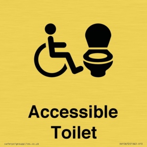 DV10672: Accessible Toilet