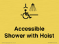 DV10678: Accessible Shower with Hoist