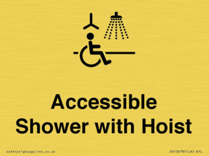 DV10678: Accessible Shower with Hoist