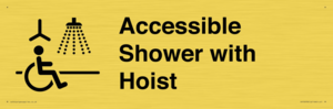 DV10678: Accessible Shower with Hoist