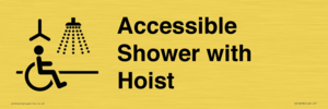 DV10678: Accessible Shower with Hoist