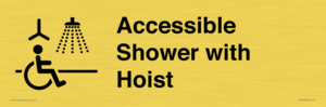 DV10678: Accessible Shower with Hoist