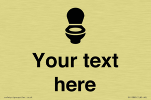 DV10860: Custom WC Toilet