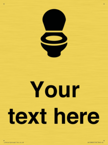 DV10860: Custom WC Toilet