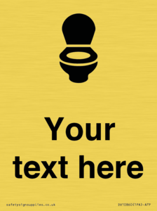 DV10860: Custom WC Toilet