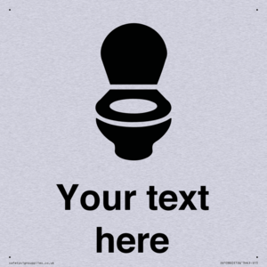 DV10860: Custom WC Toilet