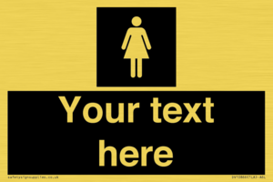 DV10866: Custom information: black panel female