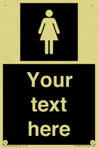 DV10866: Custom information: black panel female