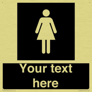 DV10866: Custom information: black panel female