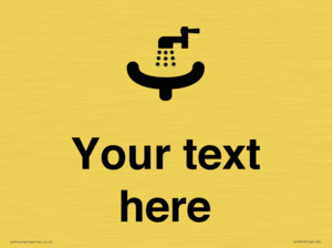 DV10910: Custom information: Wash Basin