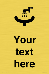 DV10910: Custom information: Wash Basin