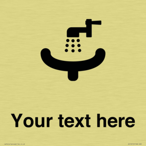 DV10910: Custom information: Wash Basin