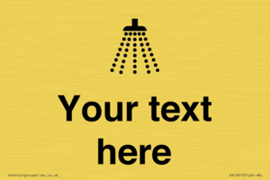 DV10912: Custom information: Shower