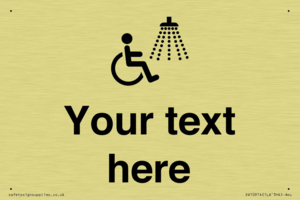 DV10914: Custom information: Accessible Shower