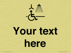 DV10916: Custom information: Accessible Shower with Hoist