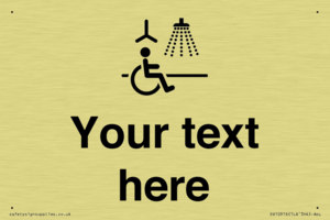 DV10916: Custom information: Accessible Shower with Hoist