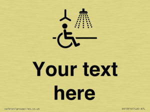 DV10916: Custom information: Accessible Shower with Hoist