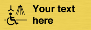 DV10916: Custom information: Accessible Shower with Hoist