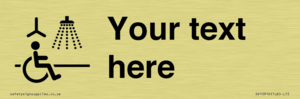 DV10916: Custom information: Accessible Shower with Hoist