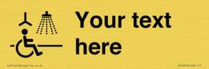 DV10916: Custom information: Accessible Shower with Hoist