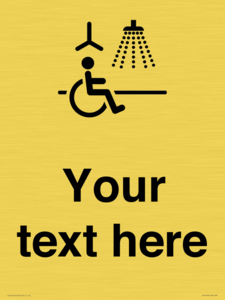 DV10916: Custom information: Accessible Shower with Hoist