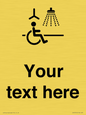 DV10916: Custom information: Accessible Shower with Hoist