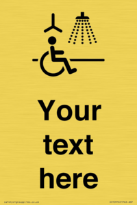 DV10916: Custom information: Accessible Shower with Hoist