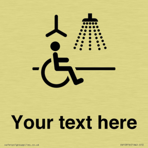 DV10916: Custom information: Accessible Shower with Hoist