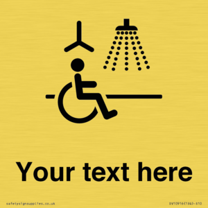 DV10916: Custom information: Accessible Shower with Hoist