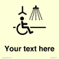DV10916: Custom information: Accessible Shower with Hoist
