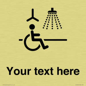 DV10916: Custom information: Accessible Shower with Hoist