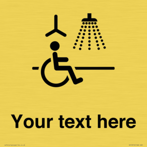 DV10916: Custom information: Accessible Shower with Hoist