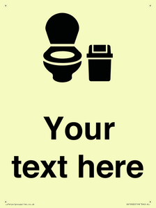 DV10922: Custom information: WC toilet with Sanitary Bin