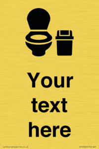 DV10922: Custom information: WC toilet with Sanitary Bin