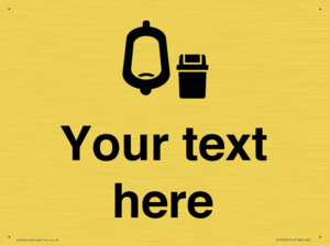 DV10924: Custom information: Urinal toilet with Sanitary Bin