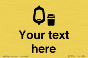 DV10924: Custom information: Urinal toilet with Sanitary Bin