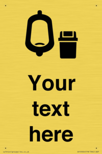 DV10924: Custom information: Urinal toilet with Sanitary Bin