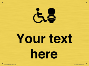DV10926: Custom information: Accessible Toilet RtL