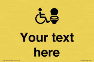 DV10926: Custom information: Accessible Toilet RtL