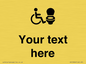DV10926: Custom information: Accessible Toilet RtL