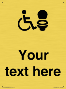 DV10926: Custom information: Accessible Toilet RtL
