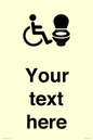 DV10926: Custom information: Accessible Toilet RtL