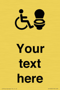 DV10926: Custom information: Accessible Toilet RtL