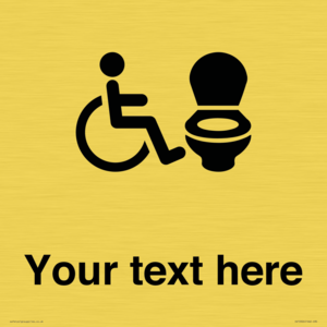 DV10926: Custom information: Accessible Toilet RtL