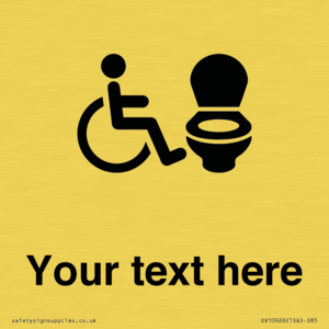 DV10926: Custom information: Accessible Toilet RtL
