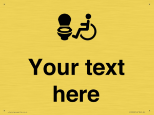 DV10928: Custom information: Accessible Toilet LtR