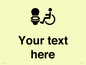 DV10928: Custom information: Accessible Toilet LtR