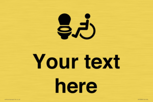 DV10928: Custom information: Accessible Toilet LtR