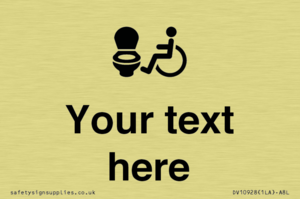 DV10928: Custom information: Accessible Toilet LtR