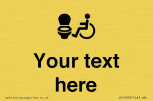 DV10928: Custom information: Accessible Toilet LtR